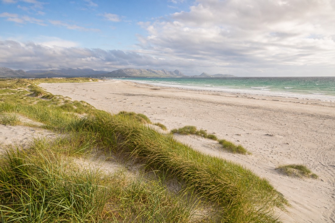 Sandy beach with grass dunes on a Norwegian coastline under bright cloud