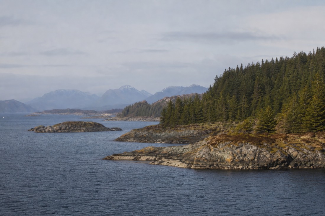 Nordic landscape of dark water, low islands and forested shore under pale northern light