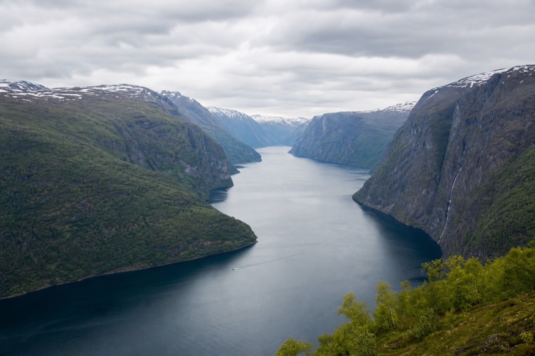 Elevated viewpoint looking down a fjord with a cruise boat far below for scale
