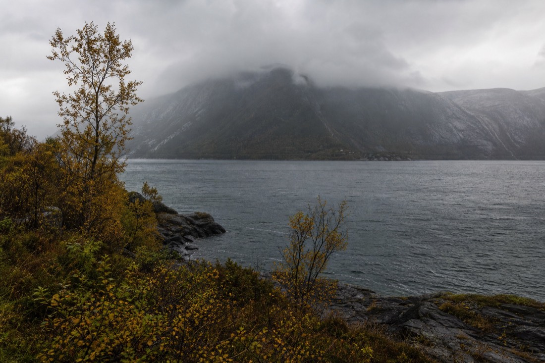 Autumn rain squall sweeping across a grey Norwegian fjord with yellowing birch on the shoreline