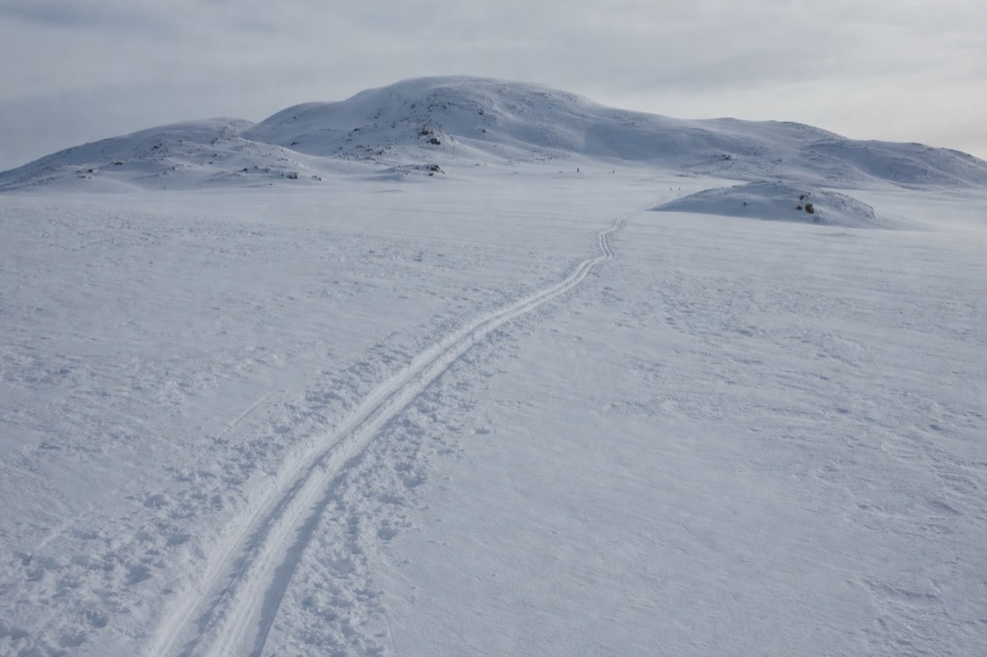 Snow-covered open landscape with a faint ski track curving away toward low hills
