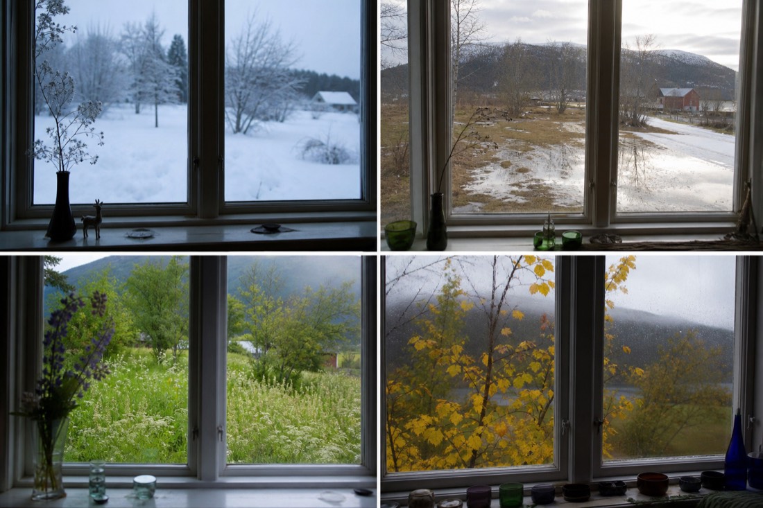 Calendar-style flat view of a Norwegian window sill through four seasons, snow, thaw, wildflowers and autumn leaves