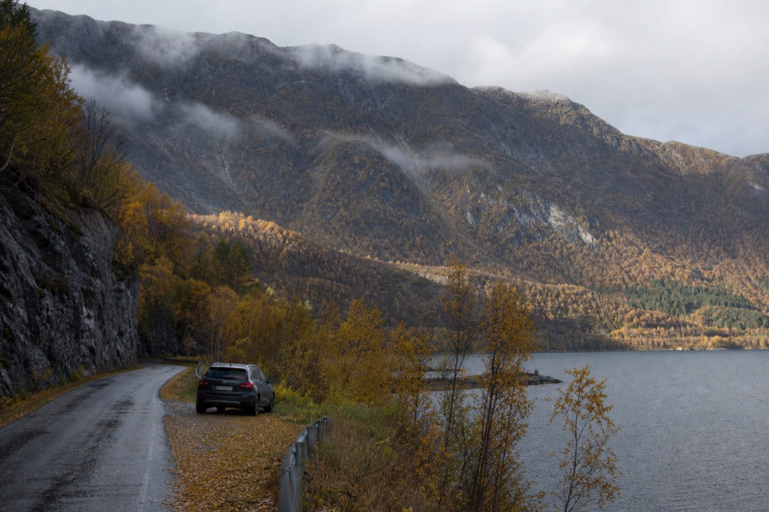A fjord-side road in late autumn with yellow birch, low cloud on the mountainside and a single parked car