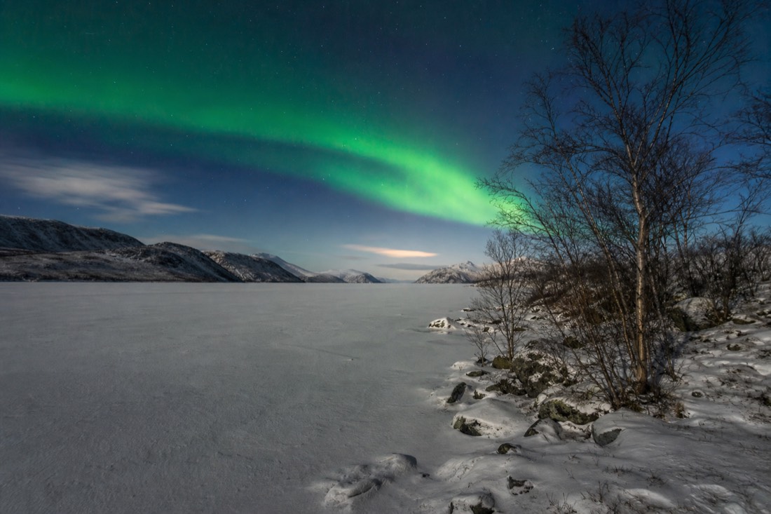 Green aurora over a snow-covered lake surrounded by low mountains and bare birch