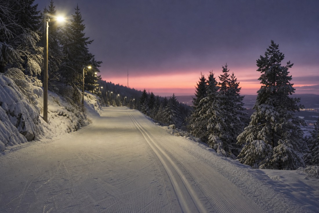 Floodlit cross-country trail through snowy trees at dusk with prepared tracks in the snow
