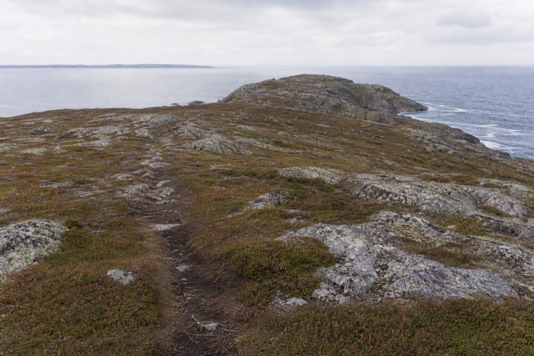 Empty granite headland above the sea with a worn footpath and low vegetation